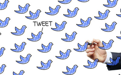 How Your Business Can Build Up More Twitter Followers